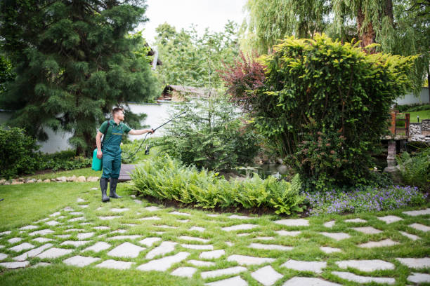 Best Exterminator Services  in Bellevue, NE