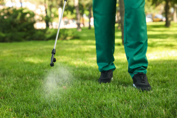 Pest Control Cost in Bellevue, NE
