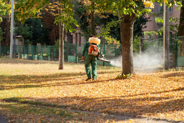 Bellevue, NE Pest Control Company
